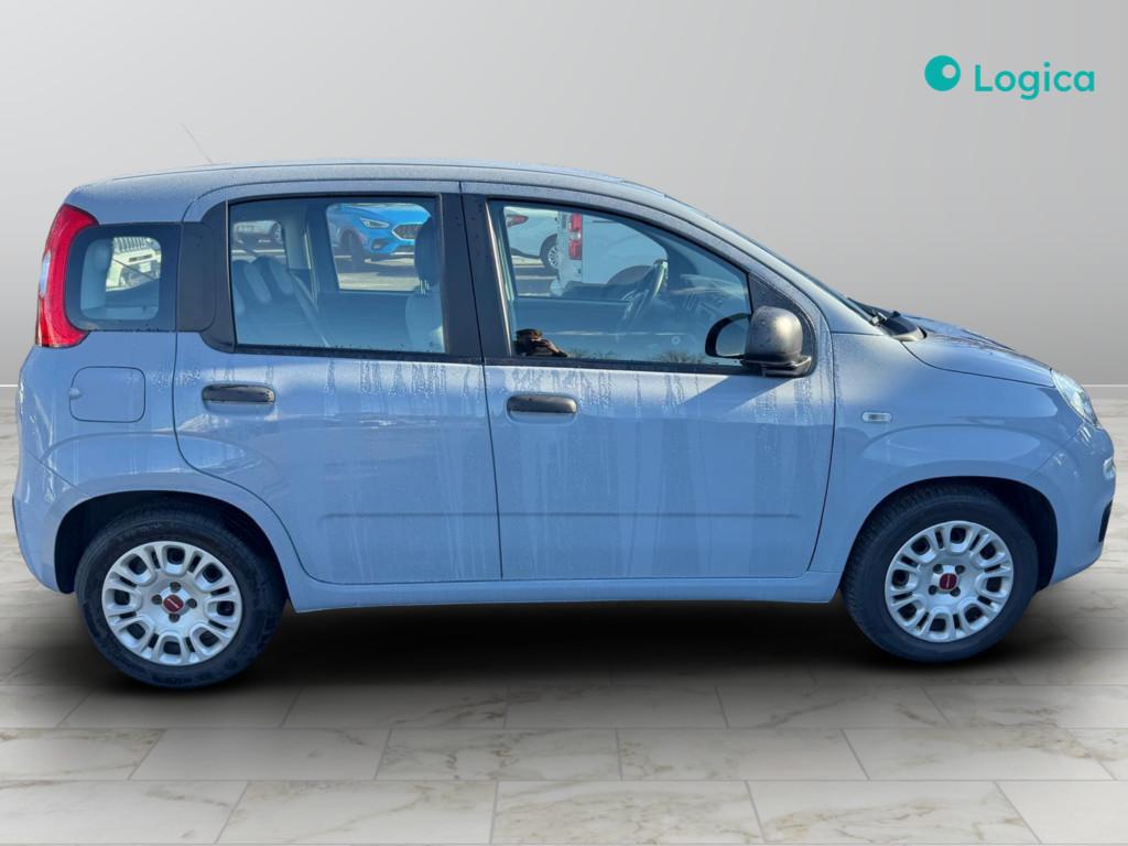 FIAT Panda III 2021 - Panda 1.0 firefly hybrid s&s 70cv 5p.ti