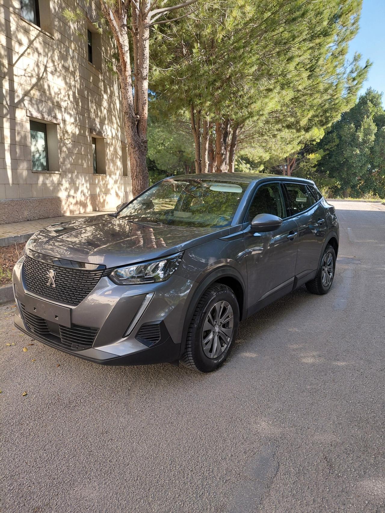 Peugeot 2008 BlueHDi 110 S&S Active Pack