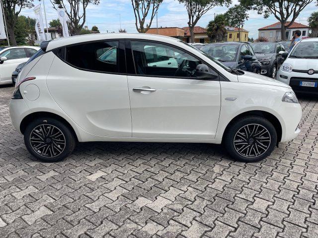 LANCIA Ypsilon 1.0 FireFly 5 porte S&S Hybrid Oro VARI COLORI