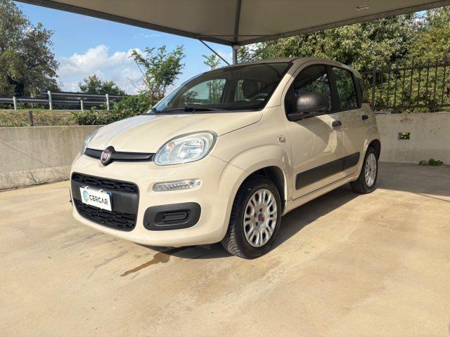 FIAT Panda 1.2 Lounge 5 POSTI EURO 6 OK NEOPATENTATI