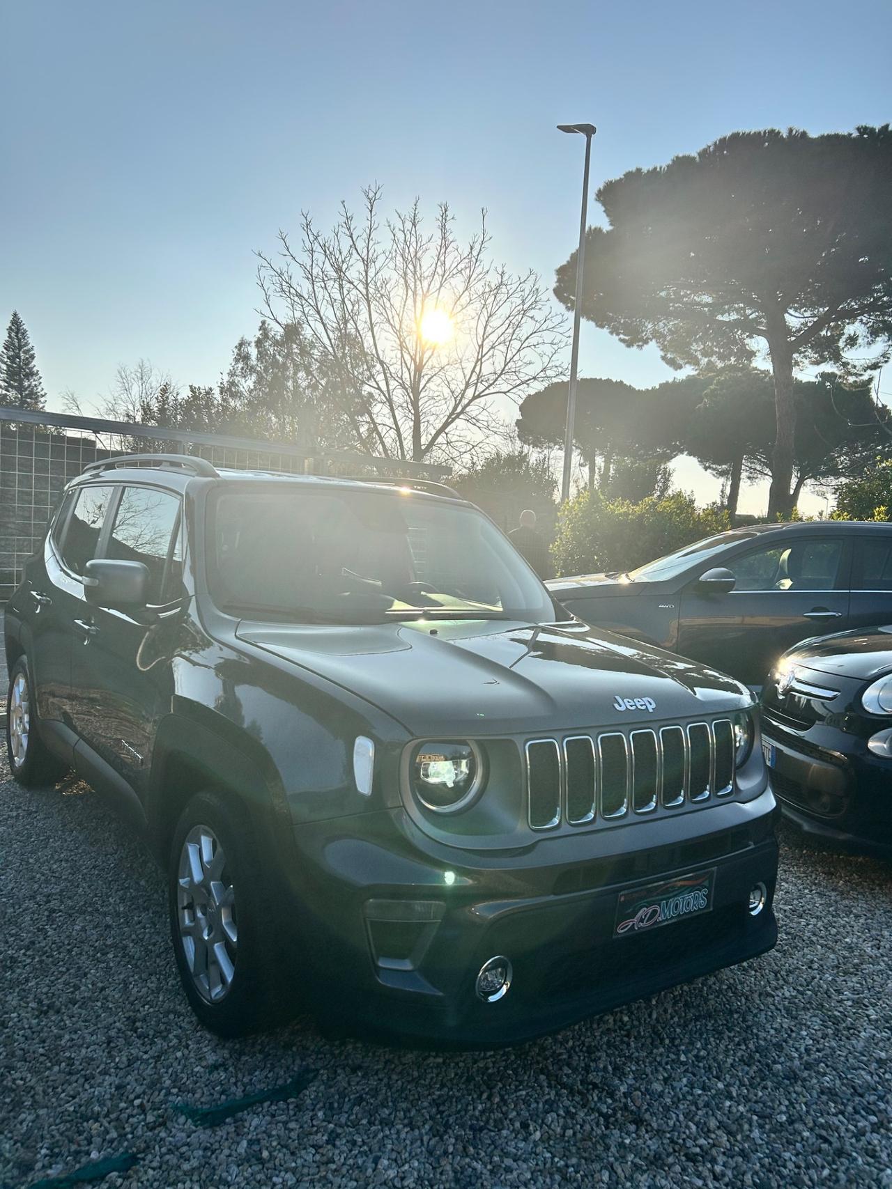 Jeep Renegade 1.6 Mjt 130 CV Limited