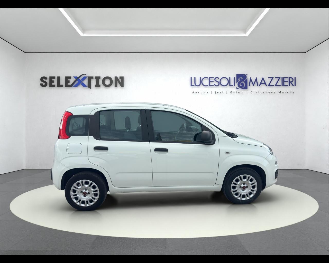 FIAT Panda 3ª serie - Panda 1.2 Easy