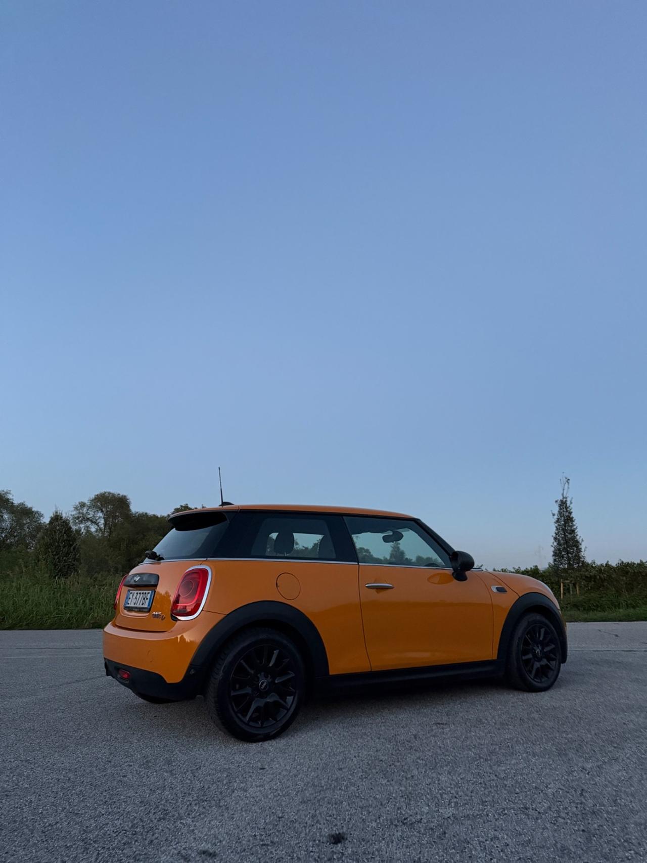 Mini 1.5 One D