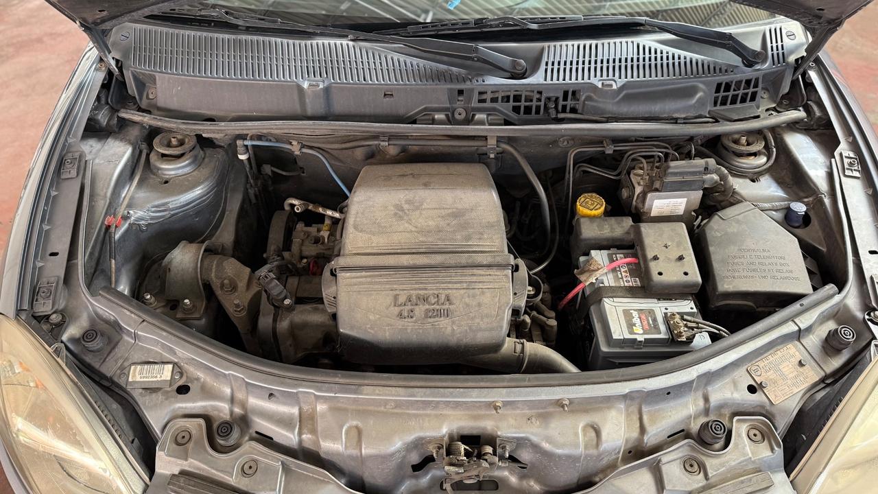 Lancia Ypsilon 1.2 16V Platino