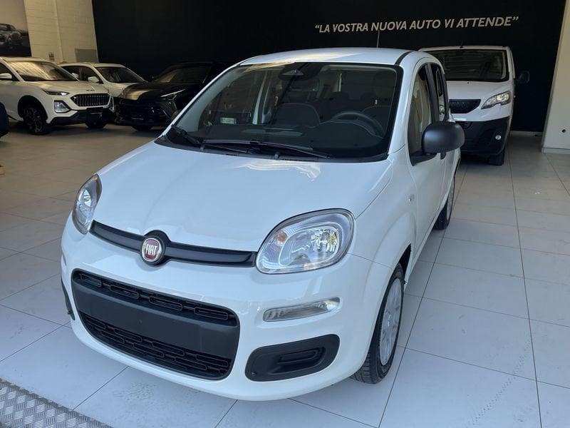 FIAT Panda Panda 1.0 FireFly S&S Hybrid Icon