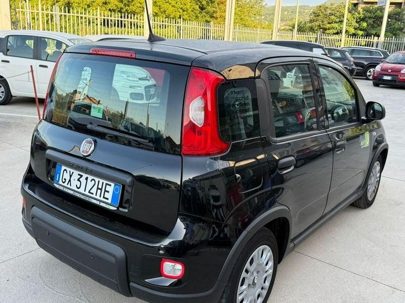 FIAT Panda NEW 1.0 70cv Hybrid PANDA