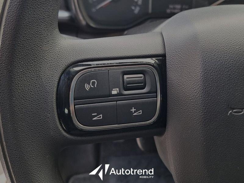 Citroën C3 BlueHDi 100 CV S&S Feel