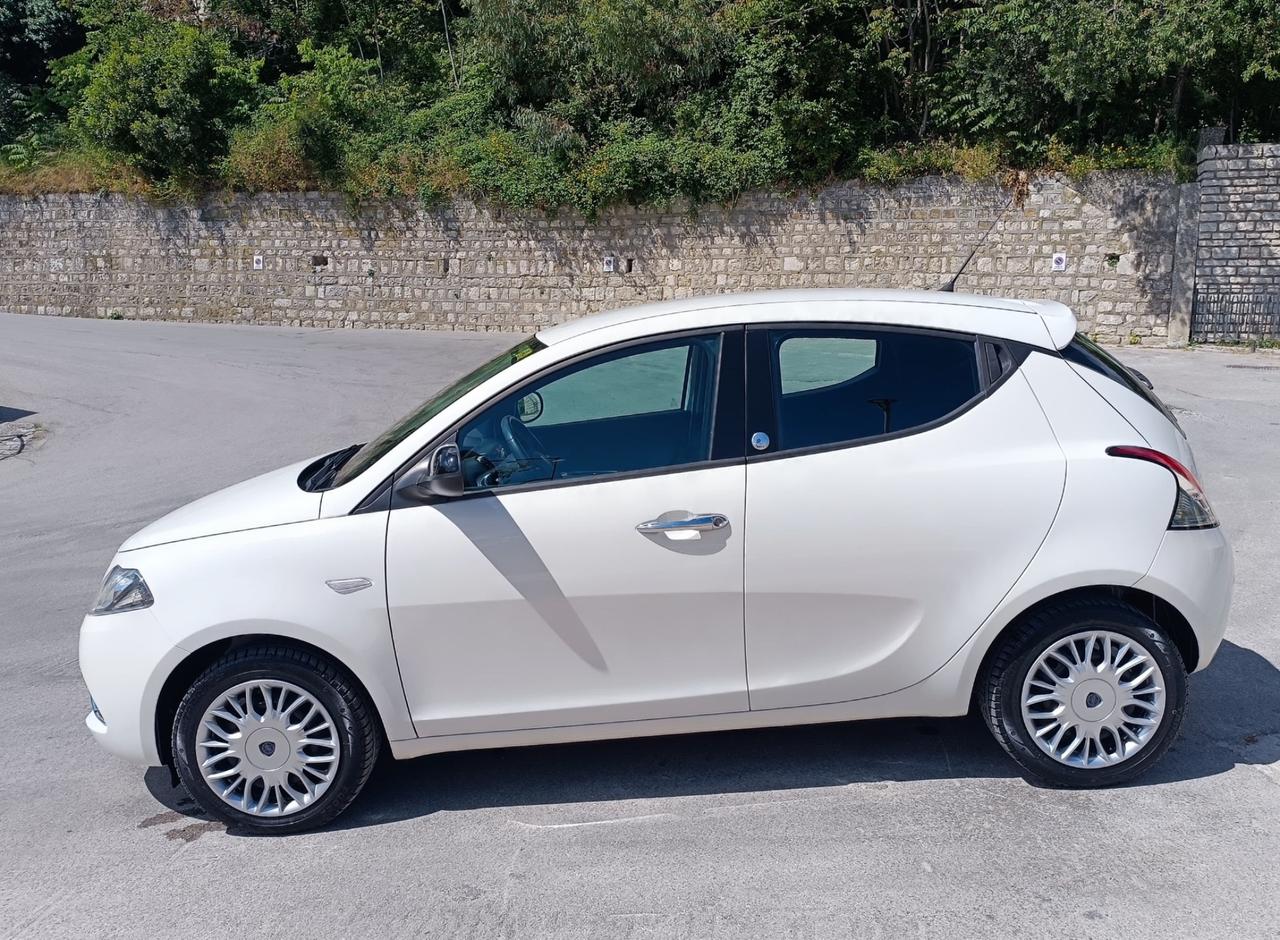 Lancia Ypsilon 1.2 69 CV 5 porte GPL Ecochic Gold