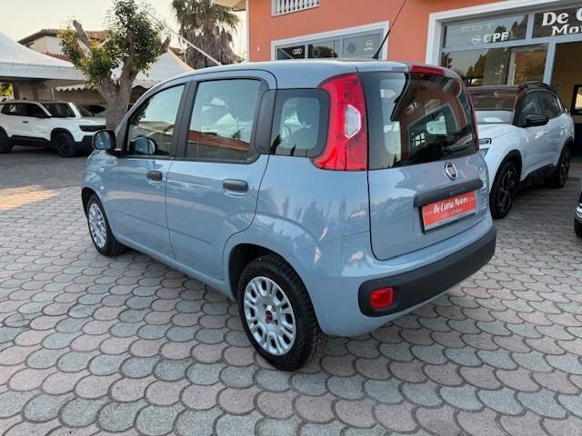 Fiat Panda 1.2 Benz. 70CV Easy - 2018