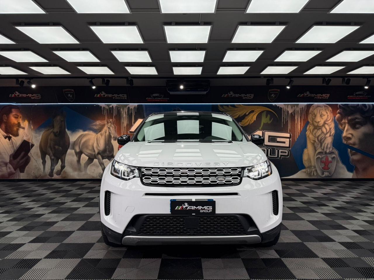 Land Rover Discovery Sport 2.0 TD4 163 CV AWD Auto R-Dynamic HSE (528)