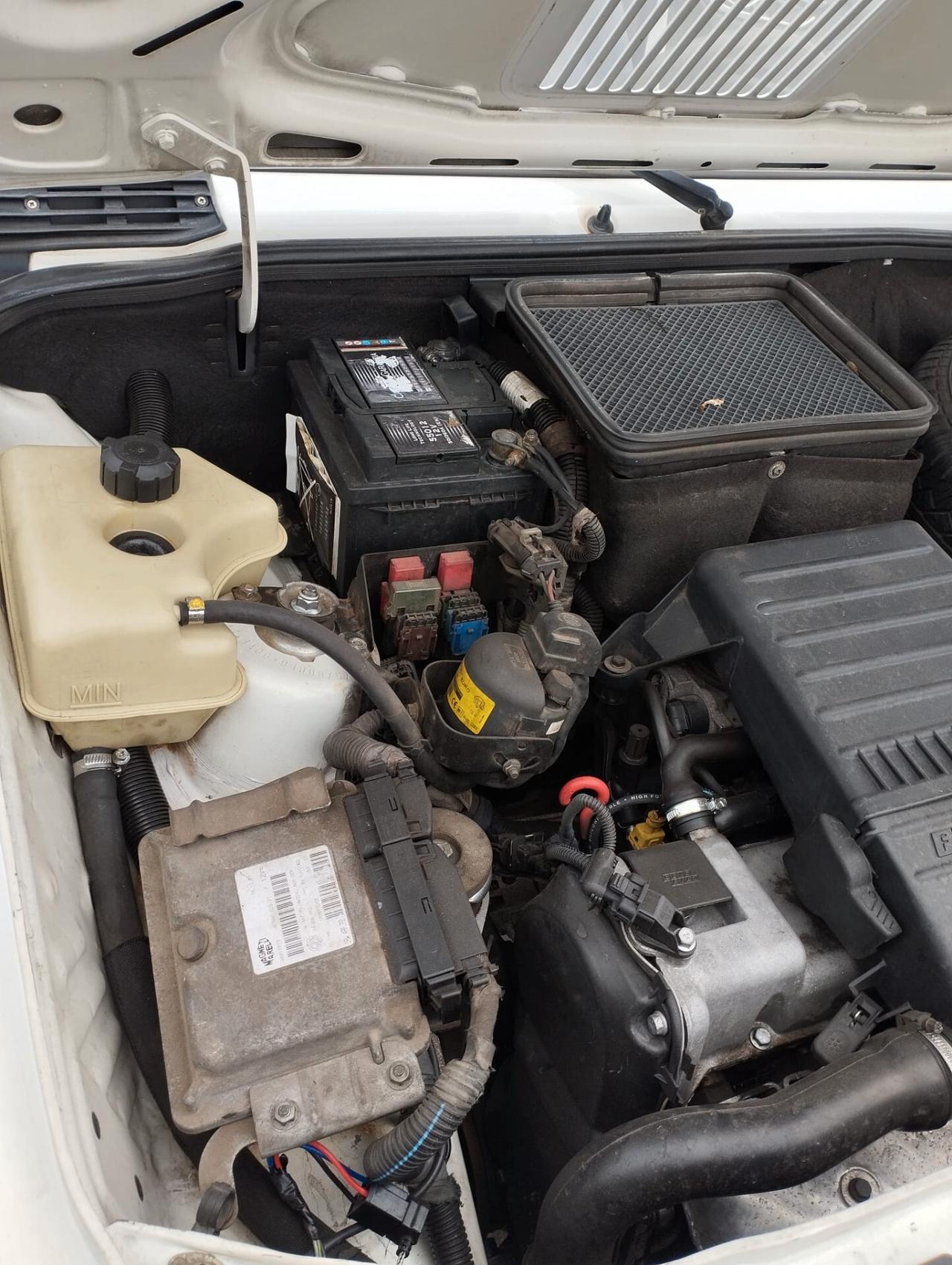 Fiat Panda 1100 i.e. cat Young