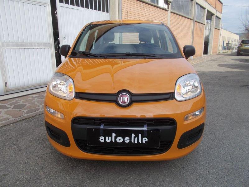 FIAT Panda 1.0 FireFly 70cv S&S Hybrid 338.7575187 MARCO MASSARI