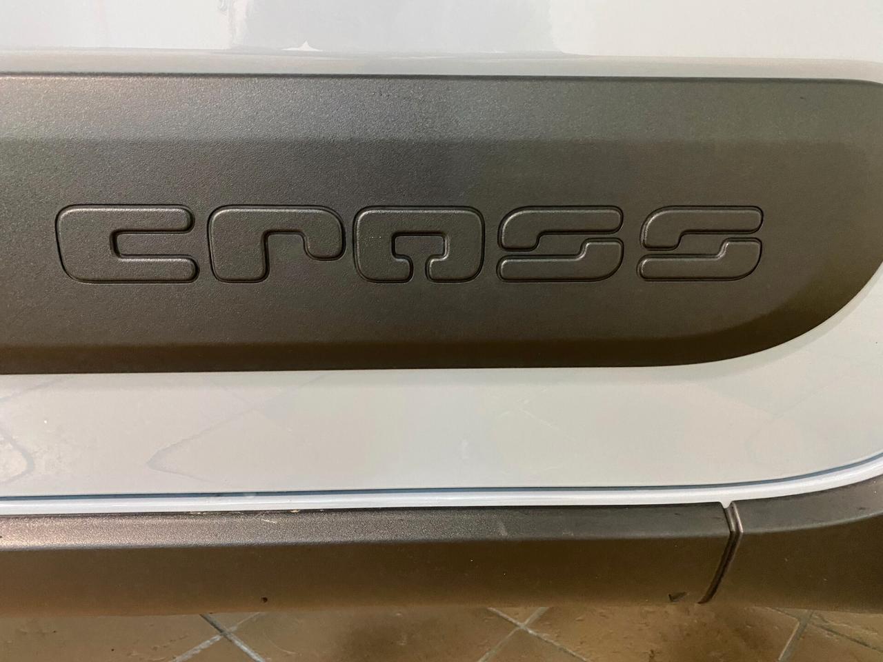Fiat Panda 1.0 FireFly 69 Cv Hybrid City Cross