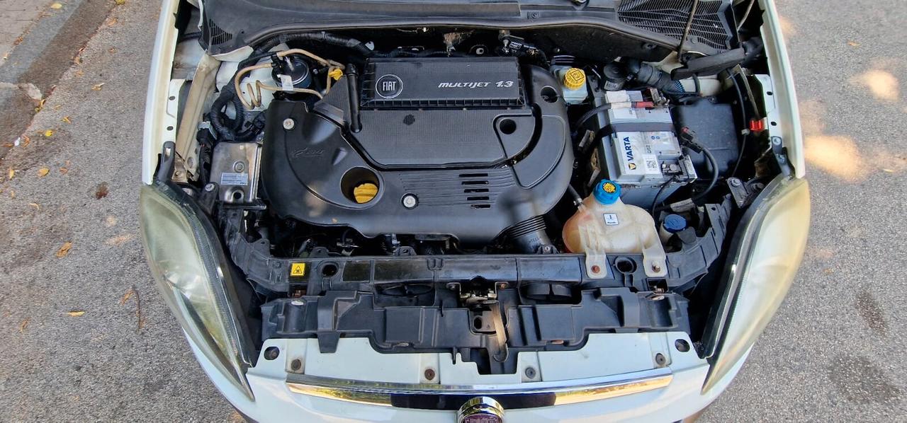 Fiat Punto Evo 1.3 Mjt 75 CV DPF 5 porte S&S Dynamic Lounge