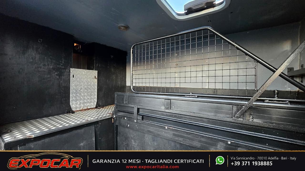 Iveco Daily - Trasporto Cavalli