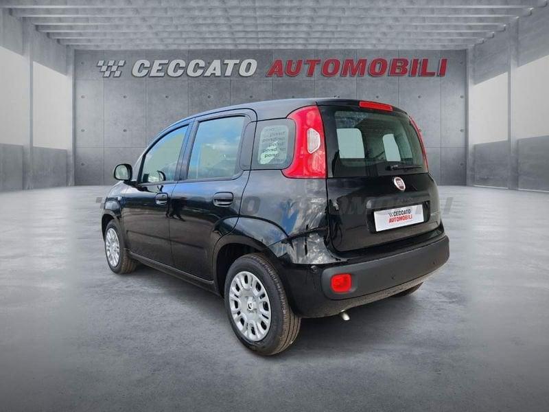 FIAT Panda Panda 1.0 70cv Hybrid Pop