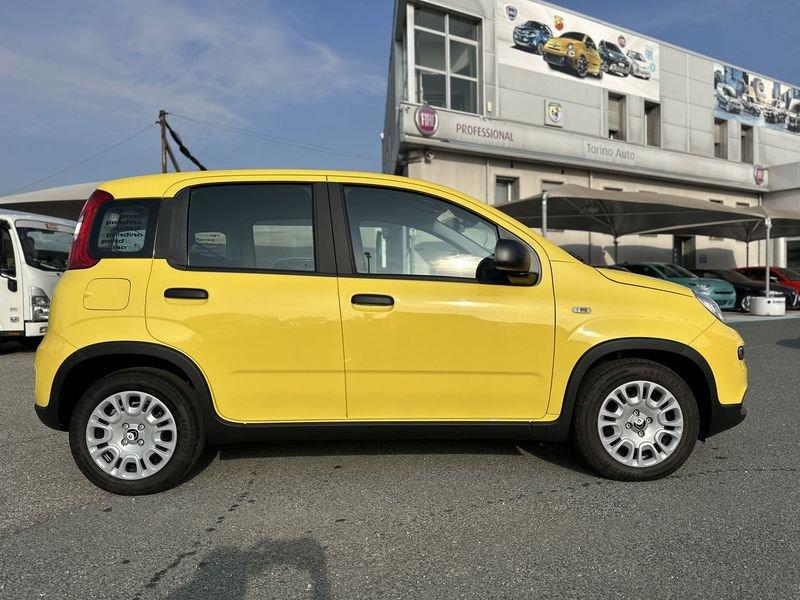 FIAT Panda 1.0 FireFly S&S Hybrid Pandina