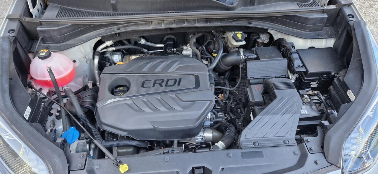 Kia Sportage 1.6 CRDI 136 CV DCT7 2WD Mild Hybrid