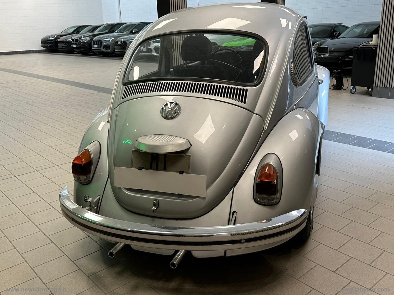 VOLKSWAGEN MAGGIOLONE