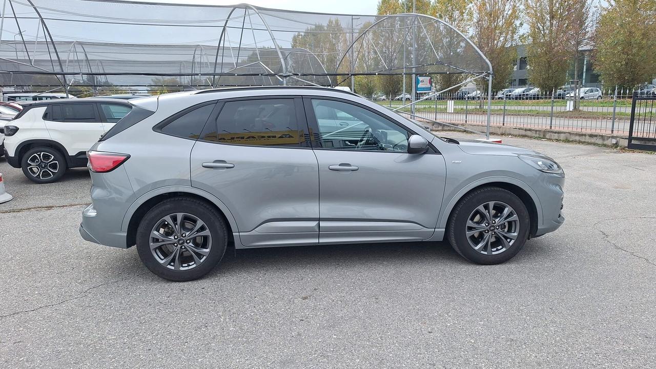 Ford Kuga 1.5 EcoBoost 150 CV 2WD ST-Line