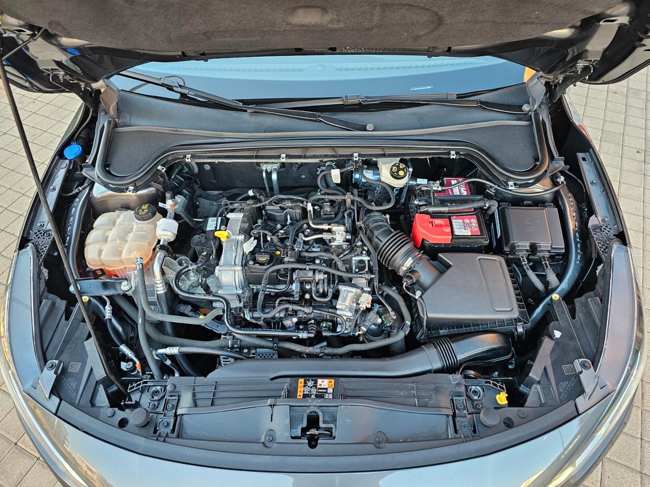 Ford Focus 1.0 EcoBoost Hybrid 125 CV 5p. ST-Line