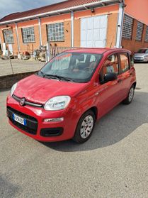 Fiat Panda 1.2 Pop EURO 6 PREZZO SENZA VINCOLI