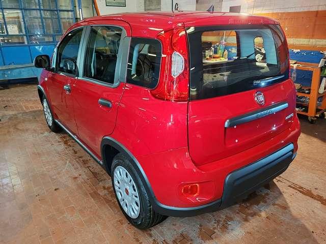 Fiat Panda 1.0 Hybrid 70cv 36 Rate da 177,95