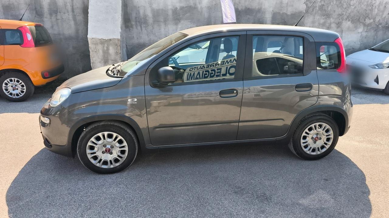 Fiat Panda 1.0 FireFly Hybrid City Life 2022 USATO