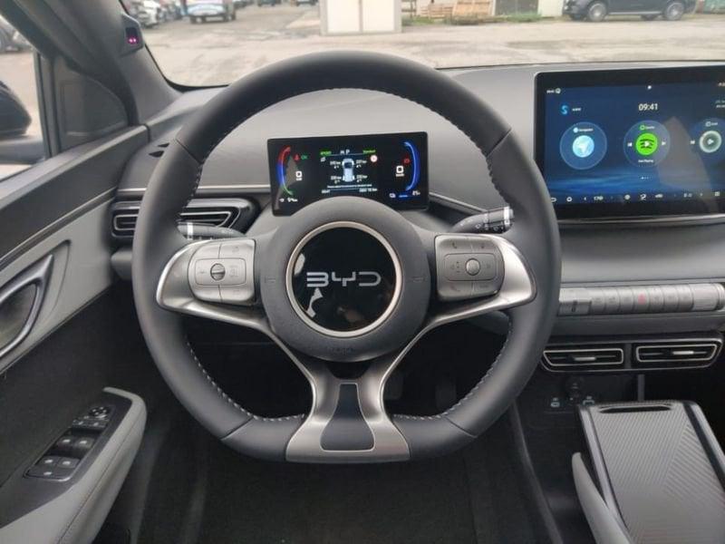 BYD Dolphin Surf Active