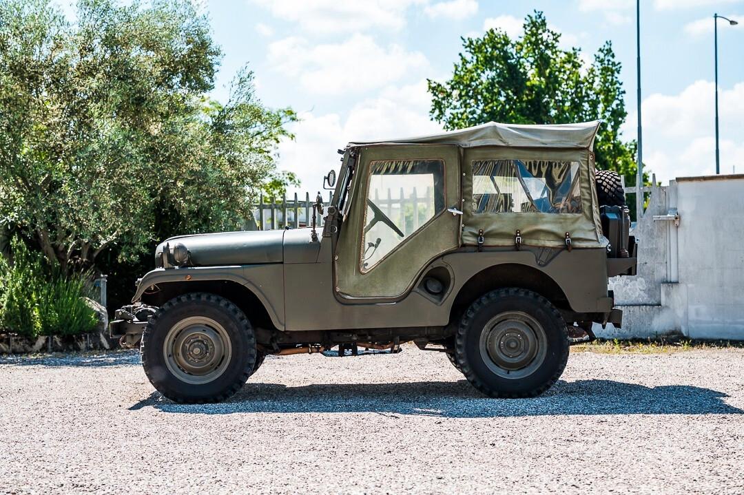Willys M38 A1 MD