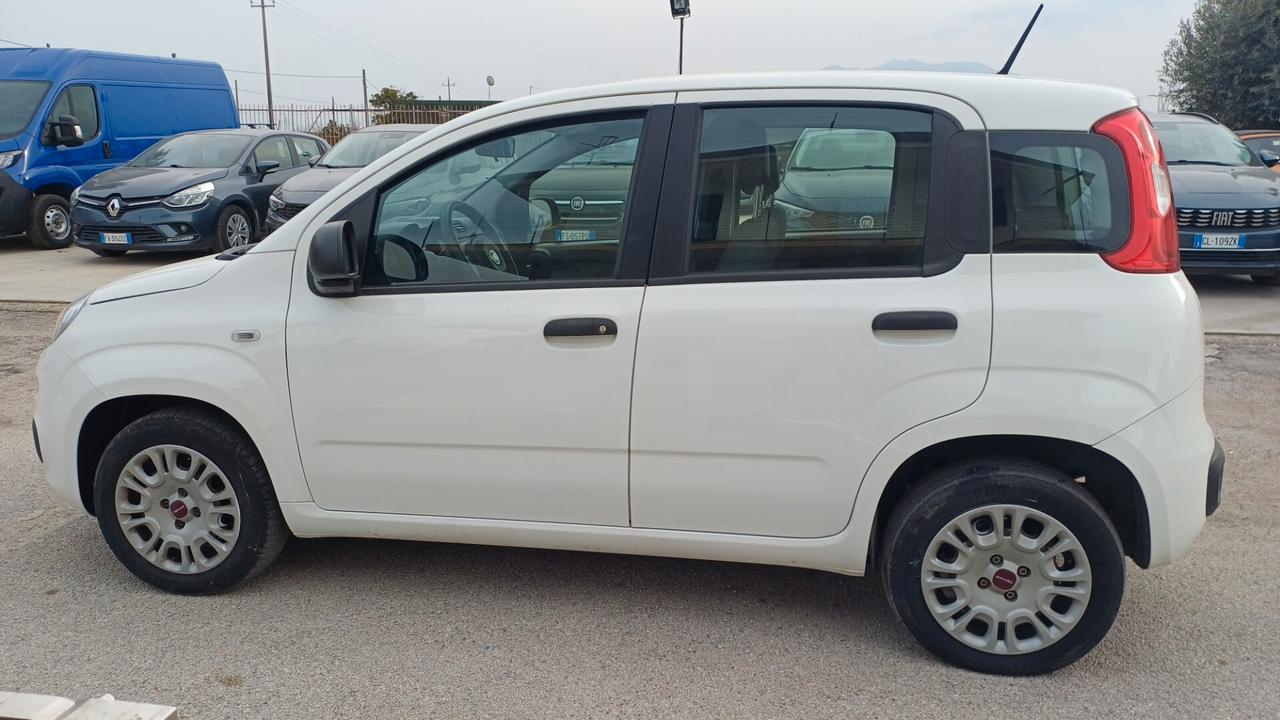 Fiat Panda 1.2 Easy SOLO 80MILA KM 2020