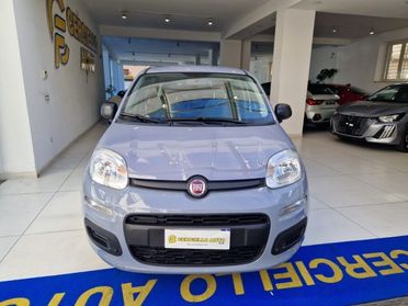 FIAT Panda 1.0 FireFly S&S Hybrid da ?119,00 mensili