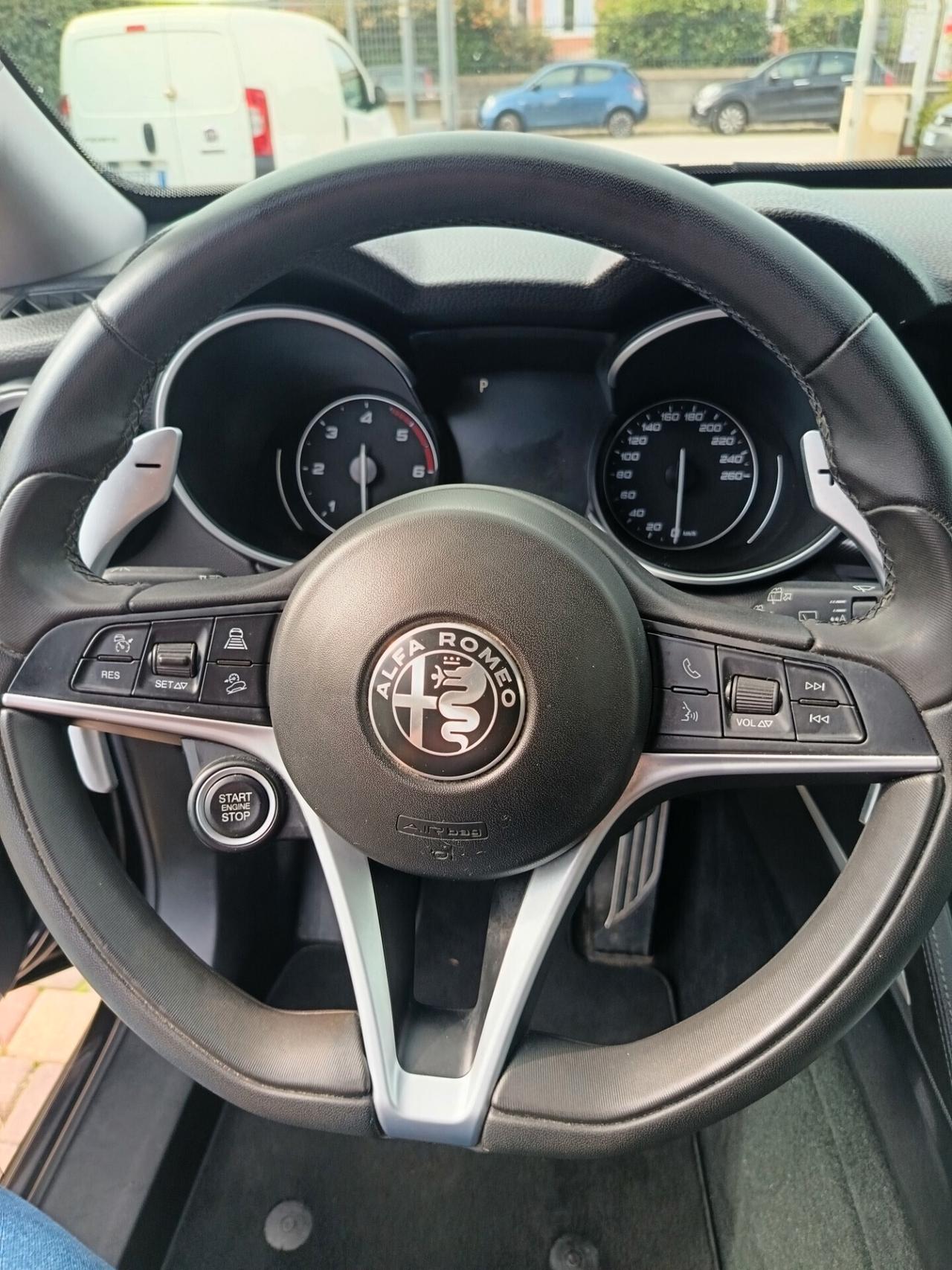 Alfa Romeo Stelvio 2.2 Turbodiesel 210 CV AT8 Q4 Executive palette al volante