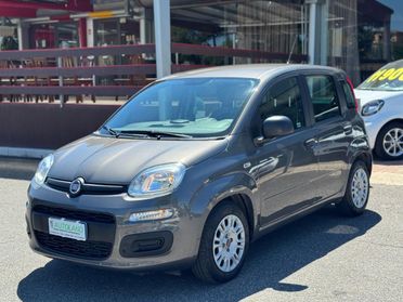 FIAT Panda 1.0 FireFly S&S Hybrid Sensori Parcheggio