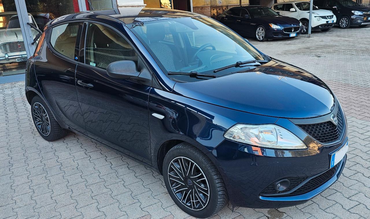 Lancia Ypsilon 1.3 MJT 16V 95 CV 5 porte S&S Platinum
