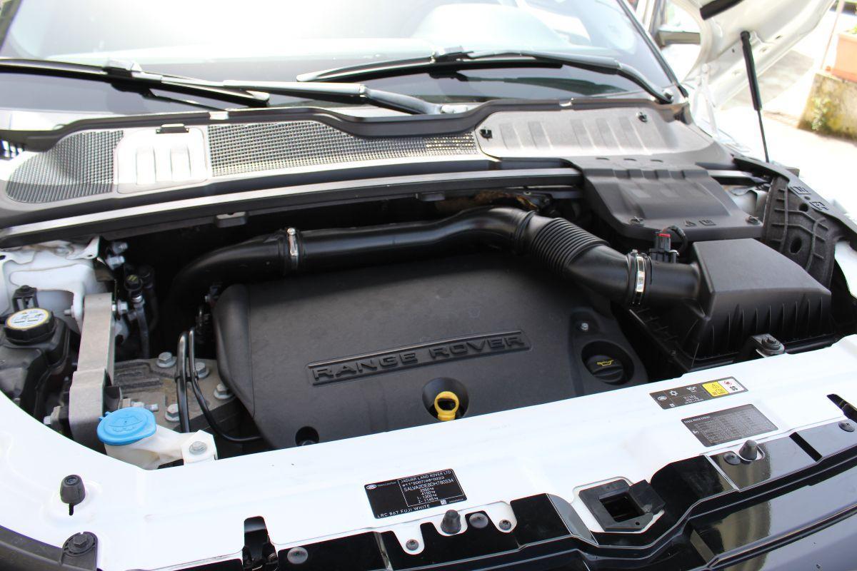 LAND ROVER - Range Rover Evoque - 2.2 SD4 5p. Dynamic