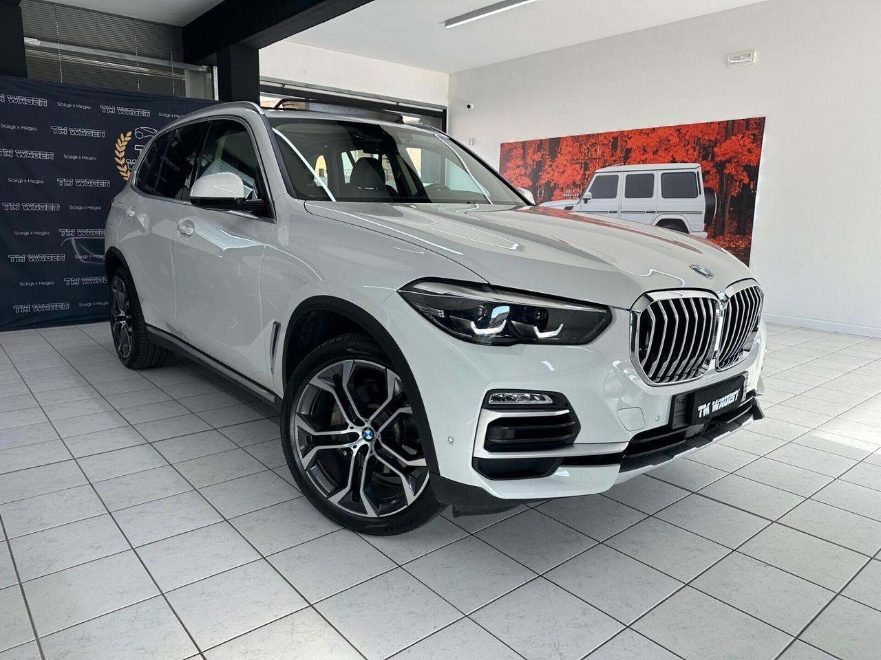 BMW X5 xdrive25d xLine auto TAGLIANDI BMW