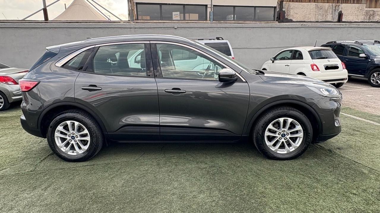 Ford Kuga 1.5 ECOBLUE DFK | DIESEL ZTDA CC 1499 CV 120 KW 88 SUV, 5 P. (1024914)