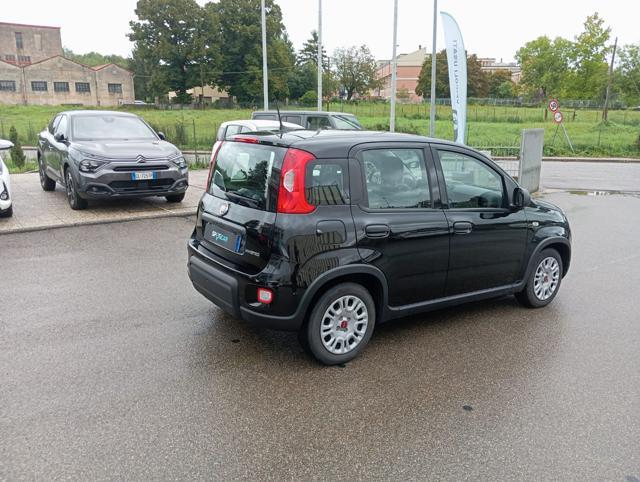 FIAT Panda *PROMO* 1.0 FireFly S&S Hybrid