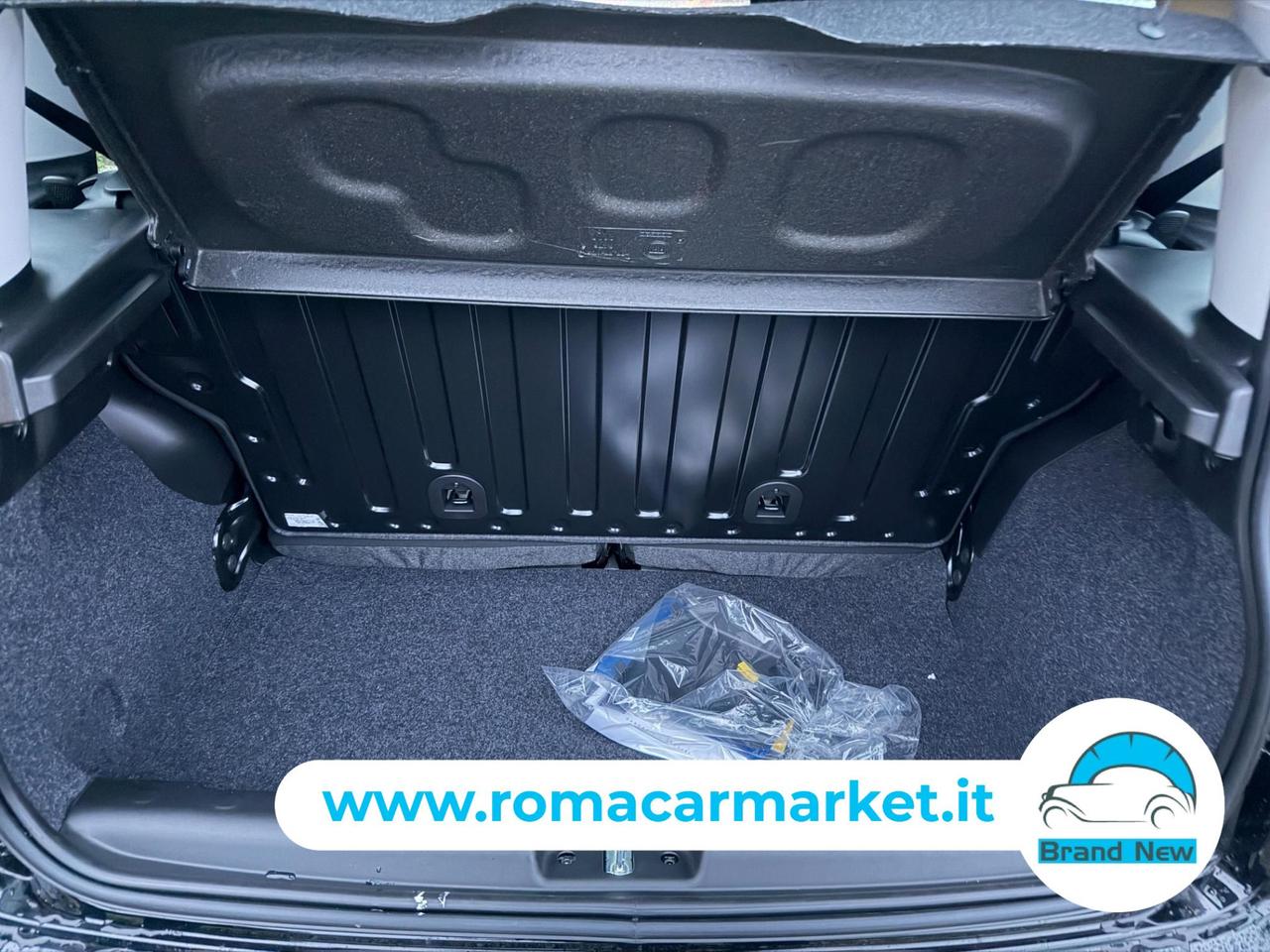 Fiat PANDA PANDINA 1.0 firefly hybrid Icon s&s 70cv PREZZO REALE NO VINCOLI