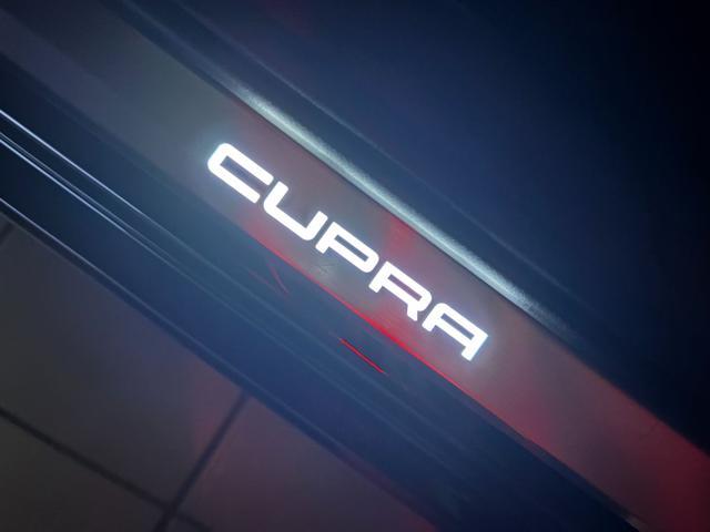 CUPRA Formentor 2.0 TDI 150 CV 4Drive DSG