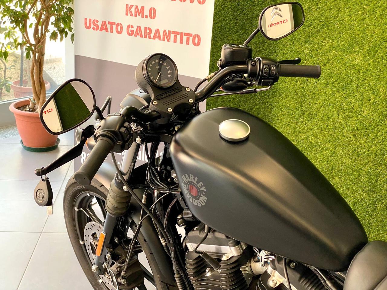 Harley-Davidson Sportster Iron 883 -COME NUOVA