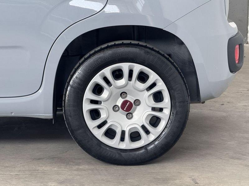 FIAT Panda 1.2 Easy 69cv E6 UNIPRO NEOPATENTATI CRONOLOGIA TAGLIANDI