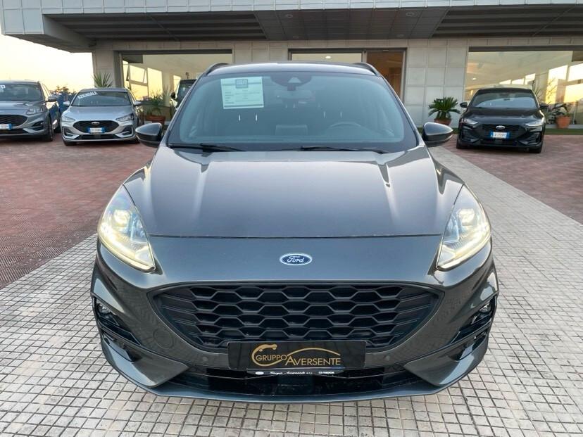 Ford Kuga 1.5 EcoBlue 120 CV 2WD ST-Line
