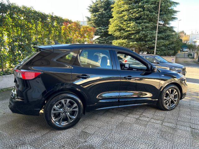 FORD Kuga 1.5 EcoBlue 120 CV aut. ST-Line