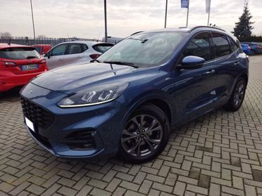FORD Kuga 1.5 EcoBlue 120 CV aut. 2WD ST-Line X del 2022
