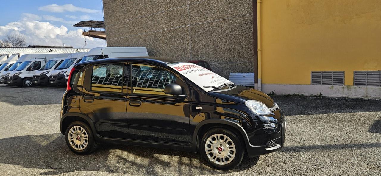 Fiat Panda 1.0 FireFly S&S Hybrid 70 CV KM. 15000 PRONTA CONSEGNA - AUTO PER NEOPATENTATI