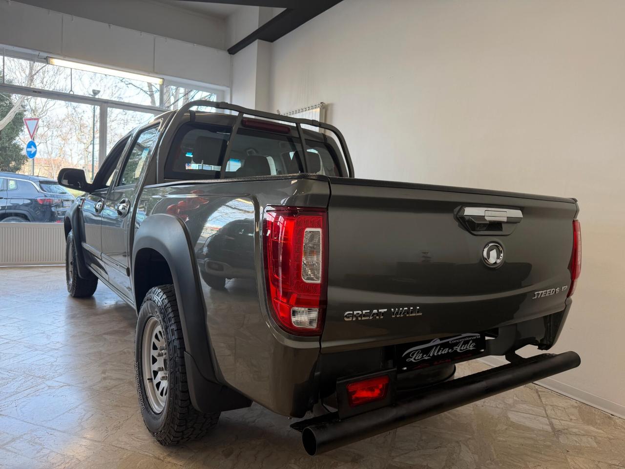 Great Wall Motor Steed Business