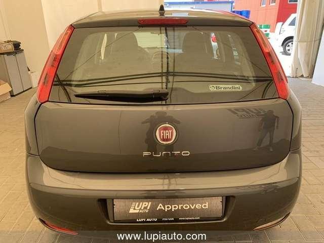 Fiat Punto Fiat Punto Adatta ai neo Patentati