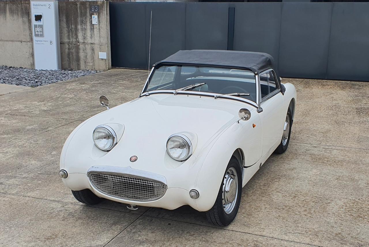 Austin Healey SPRITE FROG